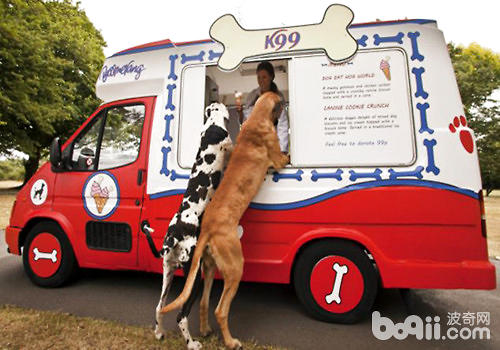 夏天又要到了，狗狗能吃冰淇淋么？