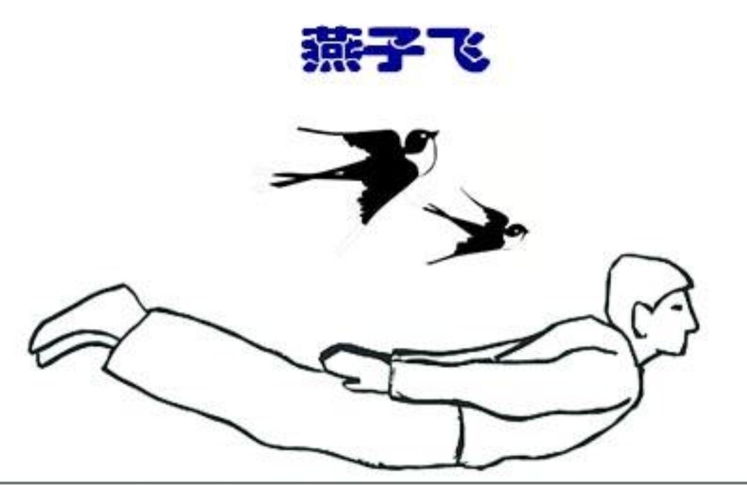 燕子飞运动正确姿势图片