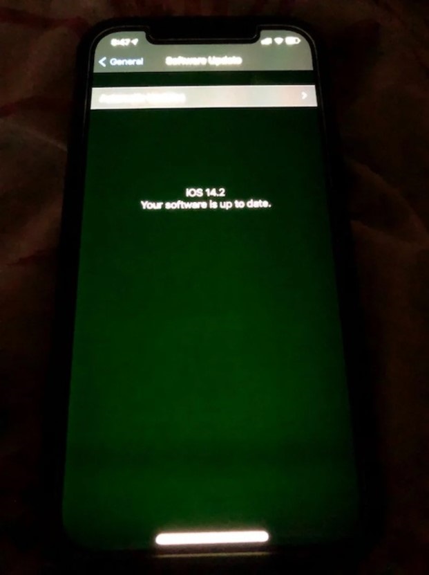 iPhone 12出现绿屏情况（图片来源于网络）