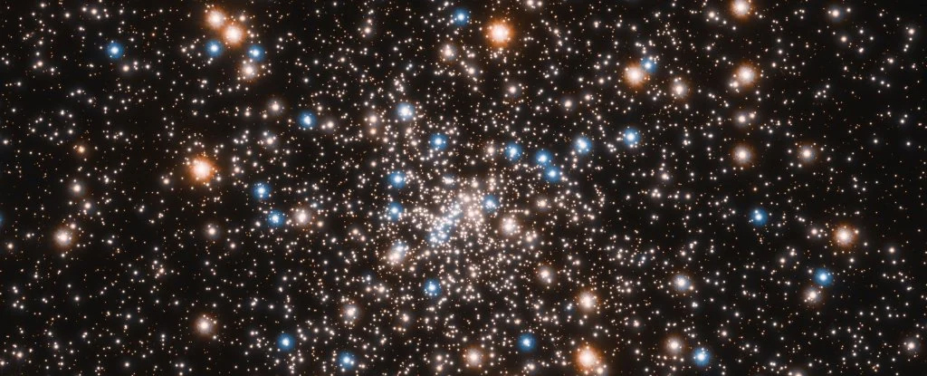 Cluster of Stars Filled With Small Black Holes