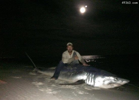 美国12岁男孩钓起约250公斤鲨鱼，世界上最惨鲨鱼吃人事件